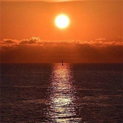 半岛官方下载地址